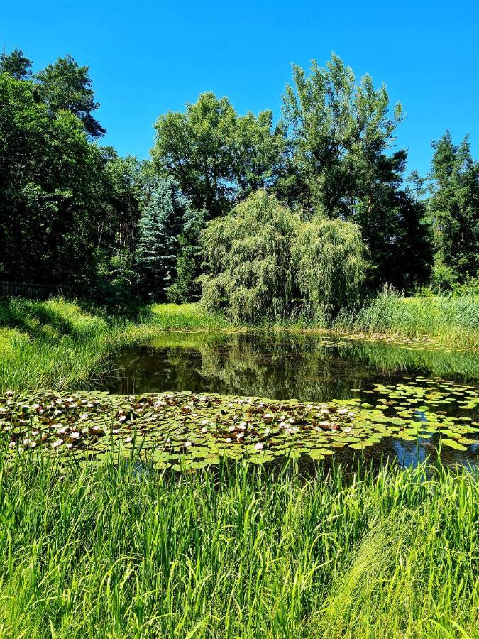 Wrzosowe Siedlisko Villa Czosnów Exteriör bild